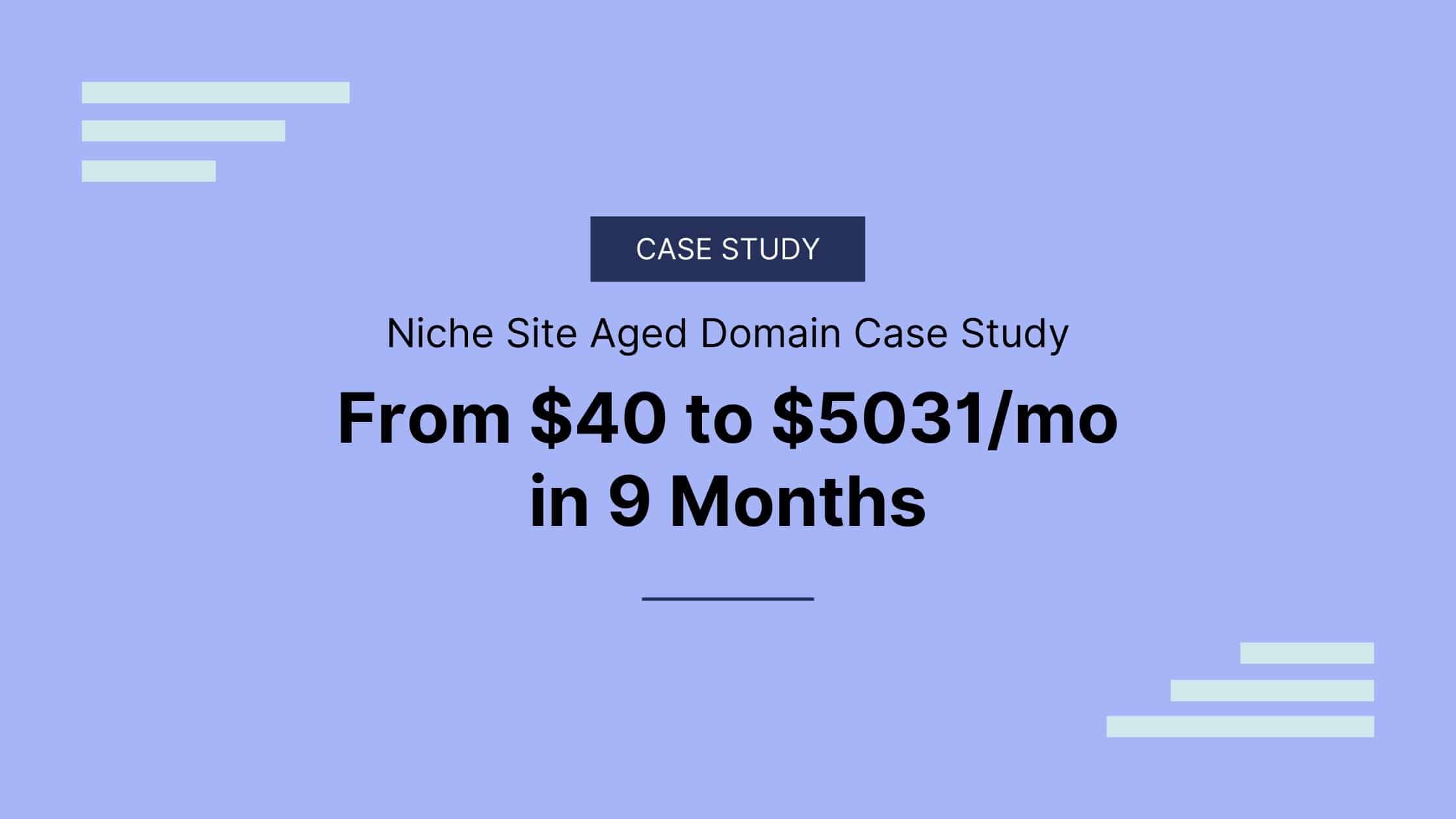 niche site aged domain case study